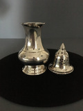 Magnificent Electro Plated Nickel Silver Powder Shaker