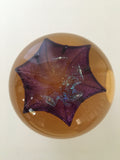 Limited Edition 256/500 Vintage Caithness Art Glass Paperweight