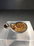 Awesome Ammonite and Sterling Silver Pendant